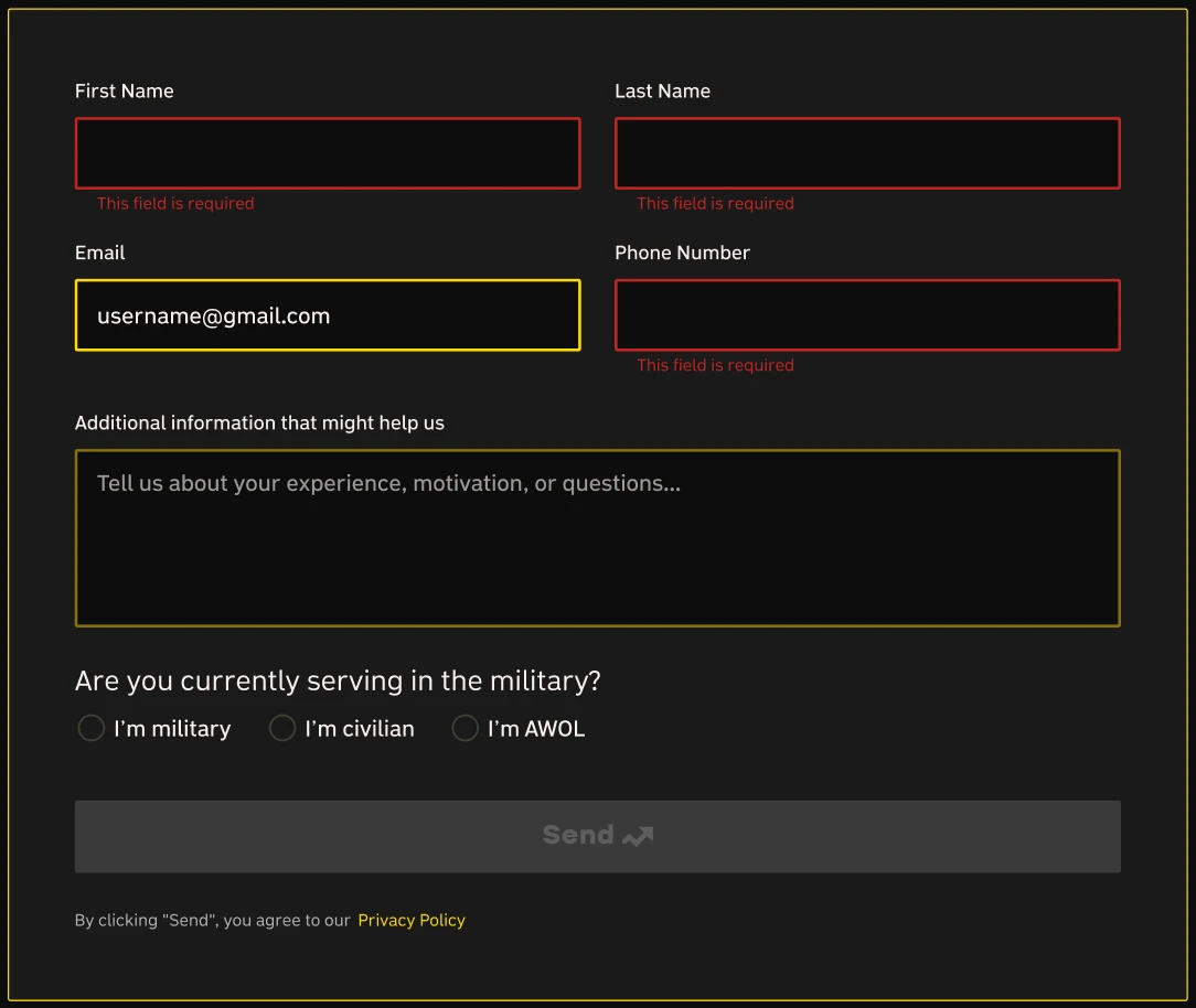 Application form showing required-field error states